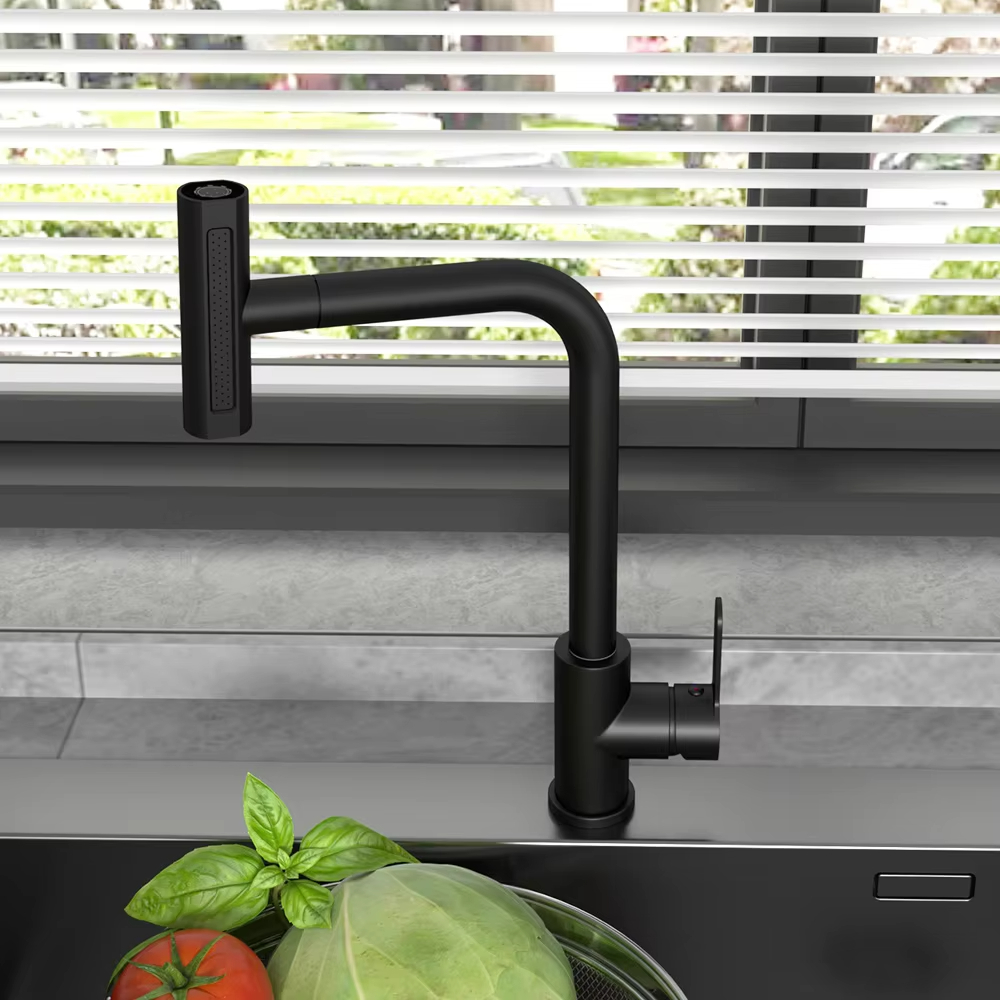 Schwarzer ausziehbarer Küchens – Commercial Kitchen Faucet Bewertung und Preis